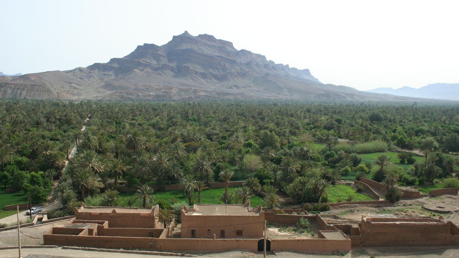 The palm groves of the Draa valley seen from the road near Agdz