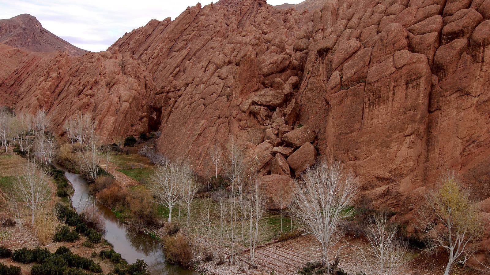 Red rock formations above poplar trees in the Dades valley