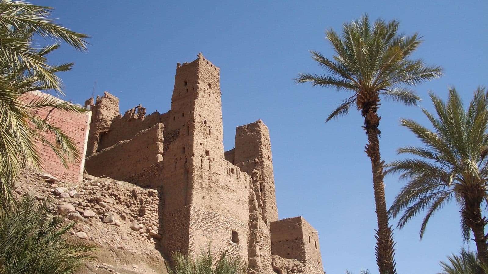 An earth-built kasbah with towers rising among date palms in the Draa valley