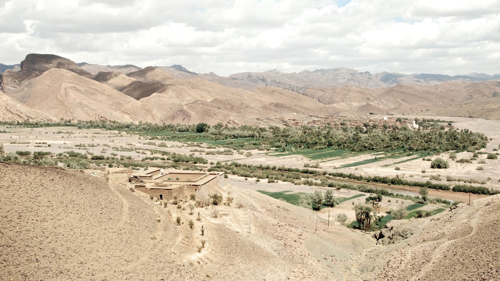 The green palm groves of the Draa valley seen from the barren hills above Agdz