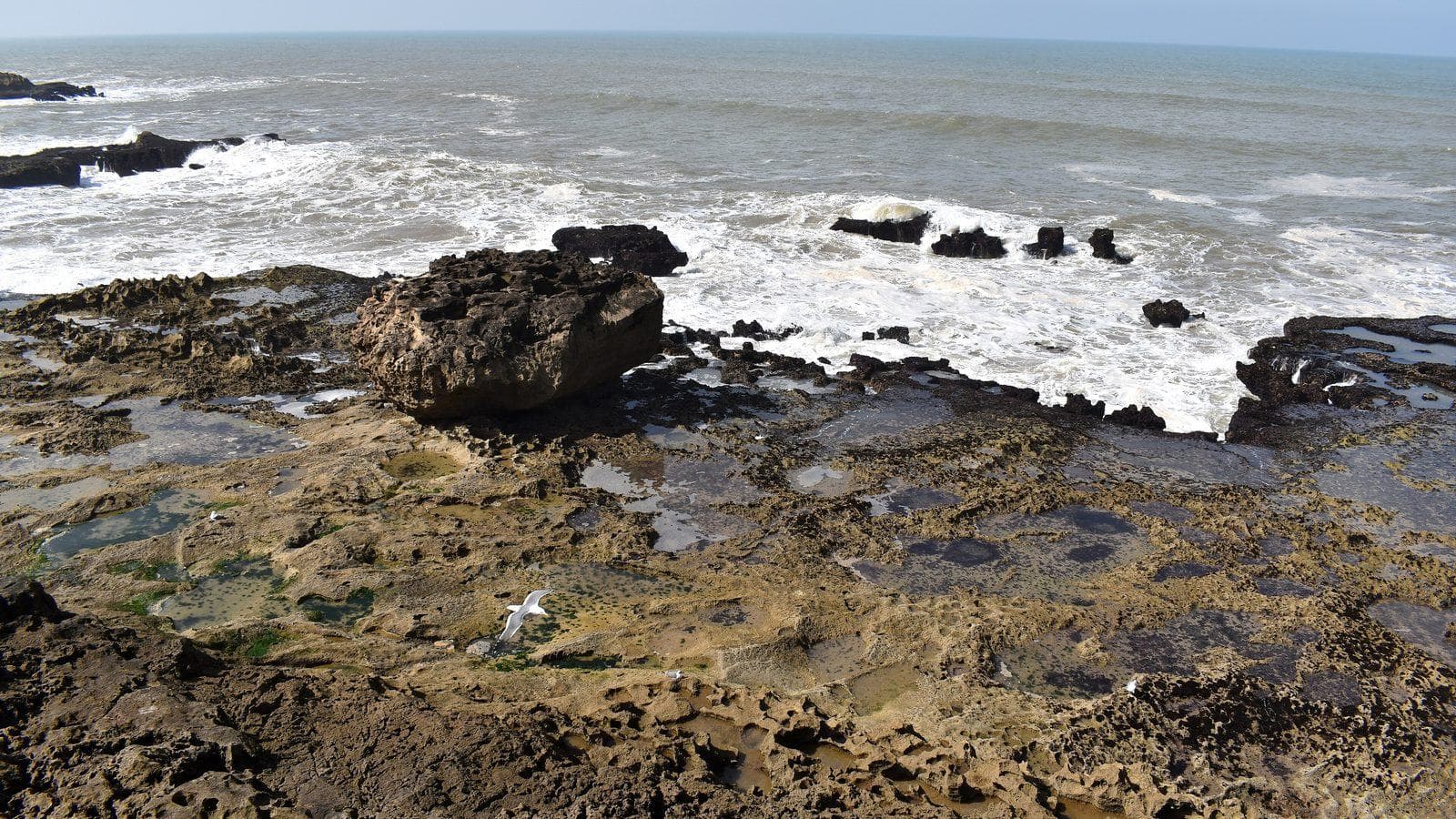 Rochers et vagues de l'Atlantique sur la côte d'Essaouira en février