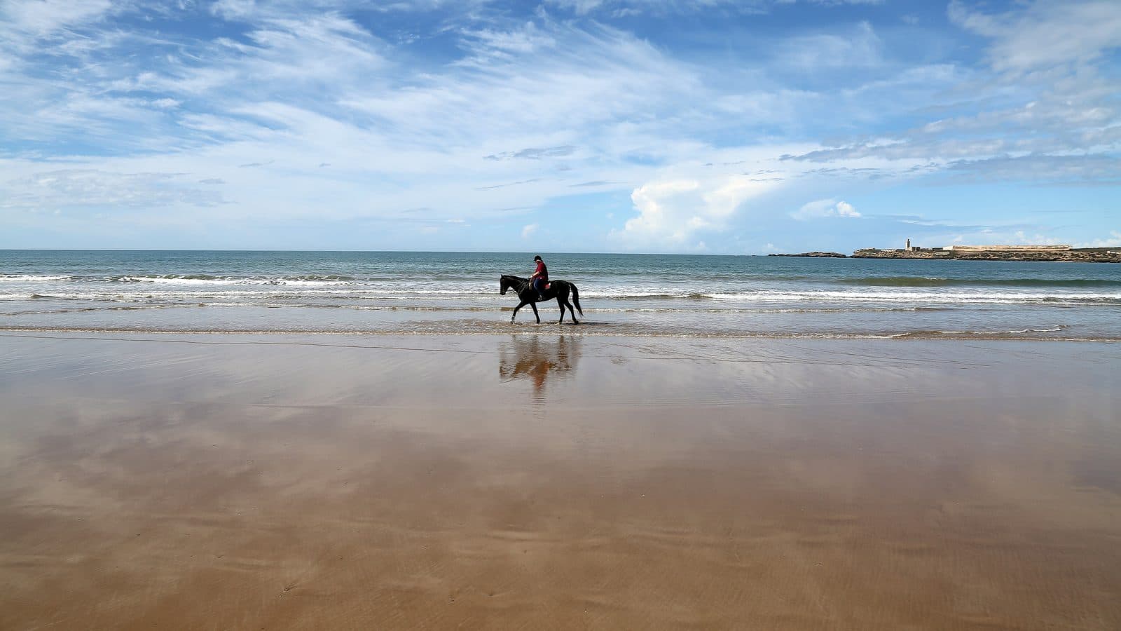 Cavalier au galop sur la plage d'Essaouira sous un grand ciel bleu