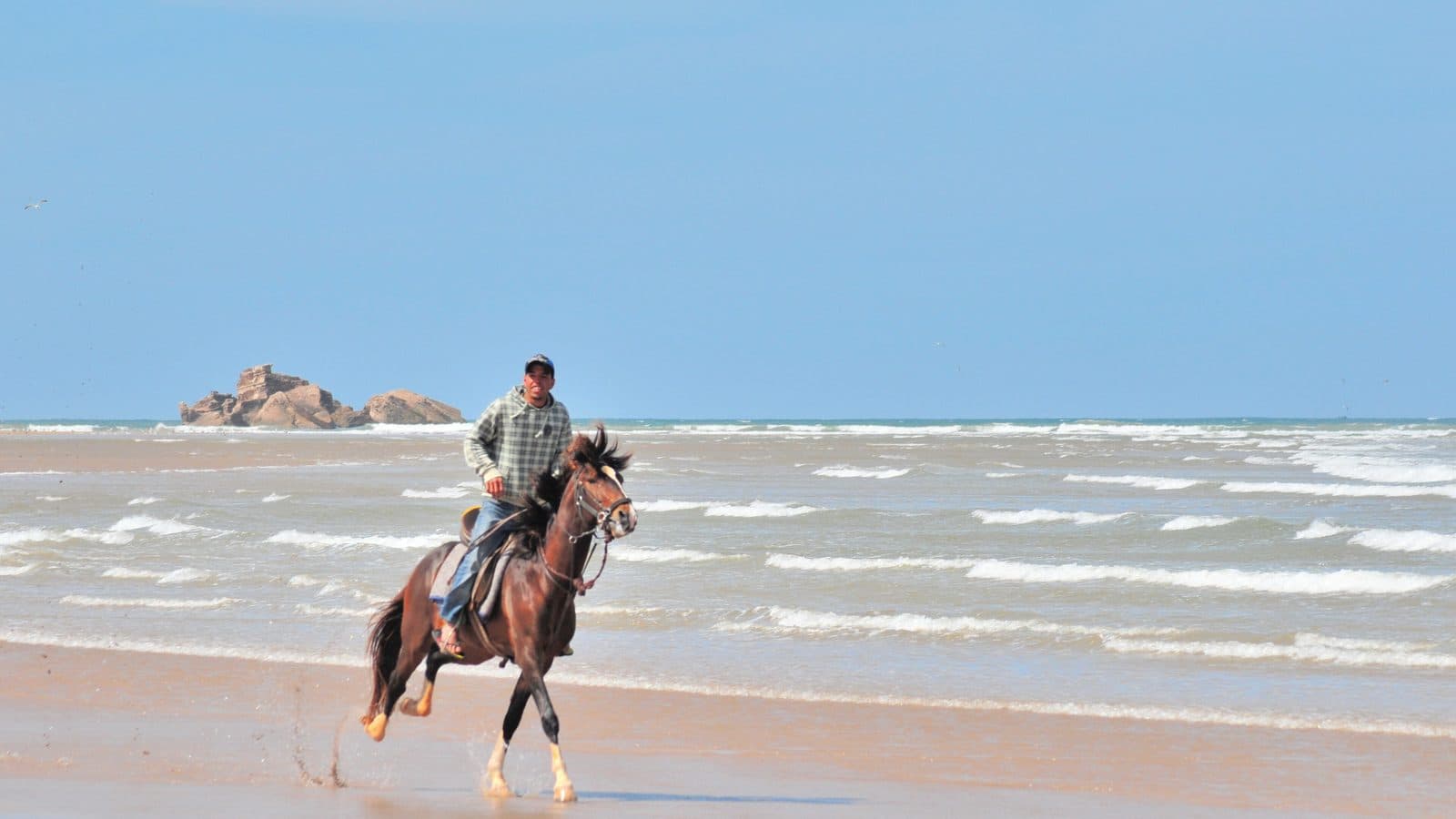 Un cavalier au galop sur un cheval bai dans les vagues peu profondes de la plage d'Essaouira, les îles en arrière-plan