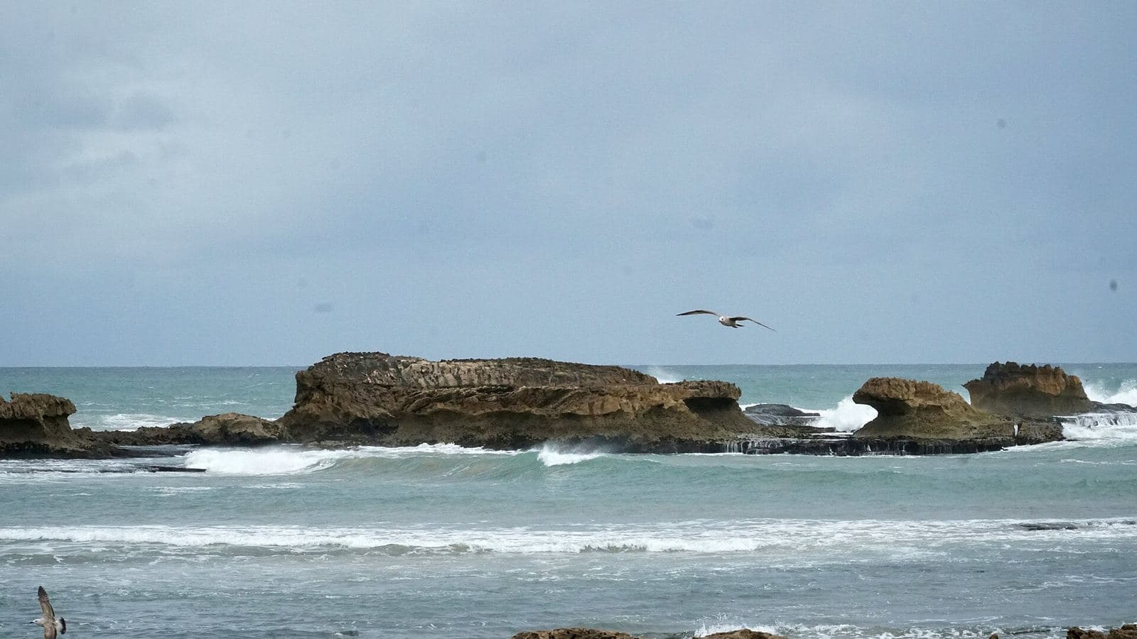Vagues de l'Atlantique se brisant sur les rochers au large de la plage d'Essaouira