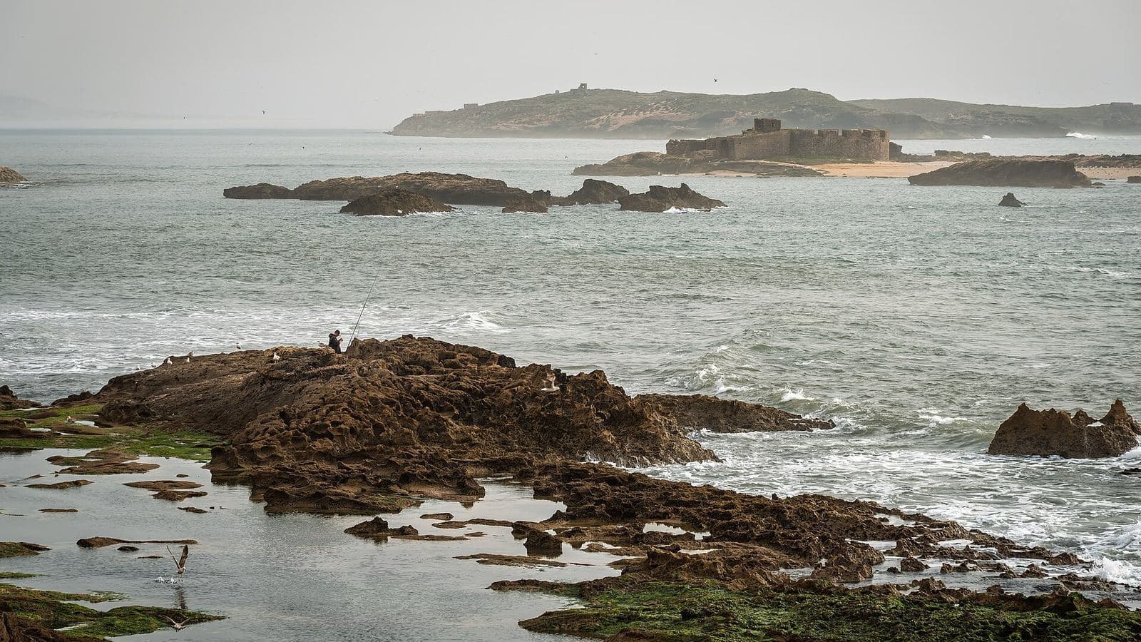 Rocky Atlantic coastline near Essaouira with the Mogador islands on the horizon