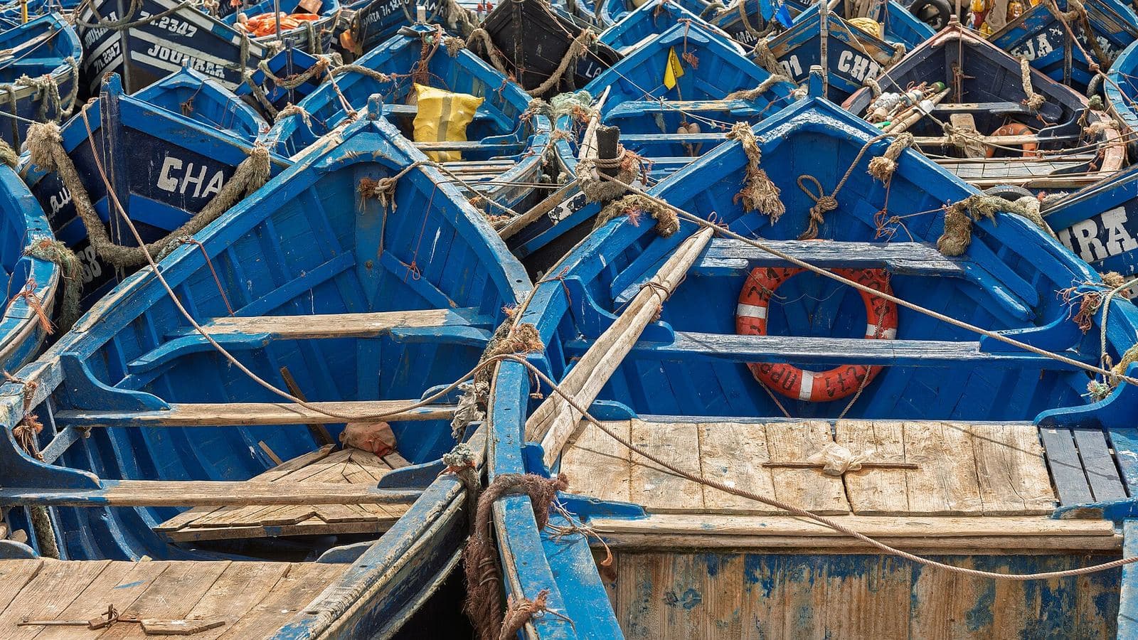 Barques de pêche bleues alignées dans le port d'Essaouira