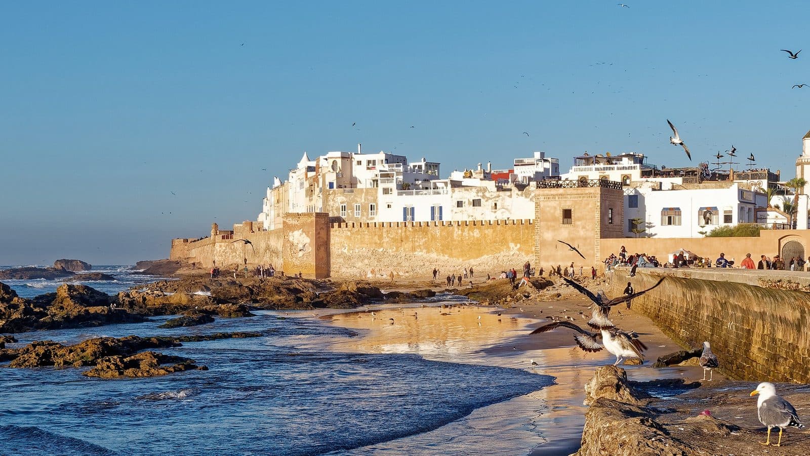 Panorama de la médina blanche d’Essaouira et de ses remparts depuis les rochers au coucher du soleil