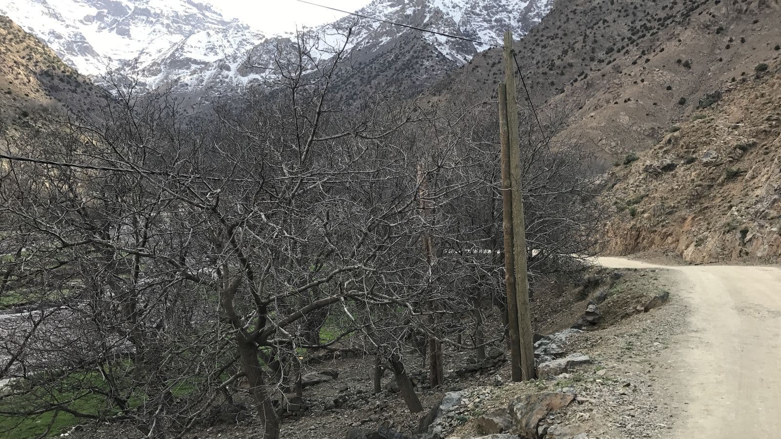 Walnut trees and a mountain track below the snowy peaks of the Toubkal massif near Imlil