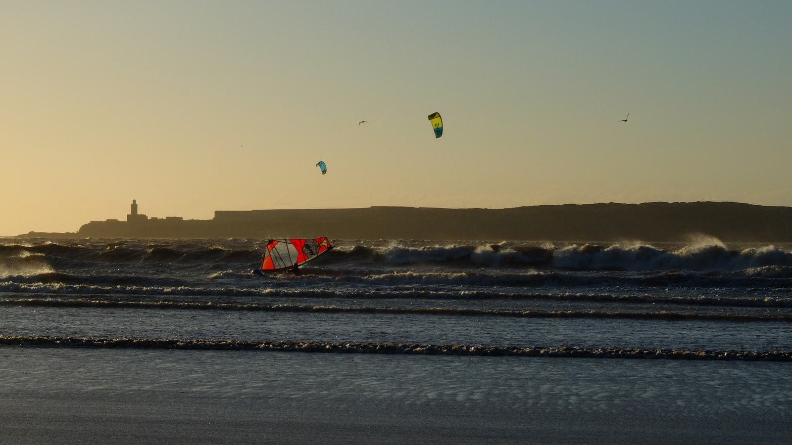 Des kitesurfeurs dans les vagues de la baie d'Essaouira avec l'île de Mogador à l'horizon