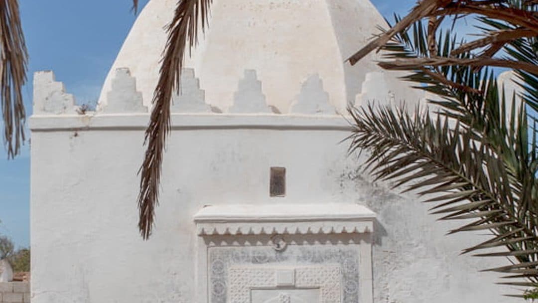 The white dome of a Regraga zawiya shrine framed by palm fronds under a blue sky