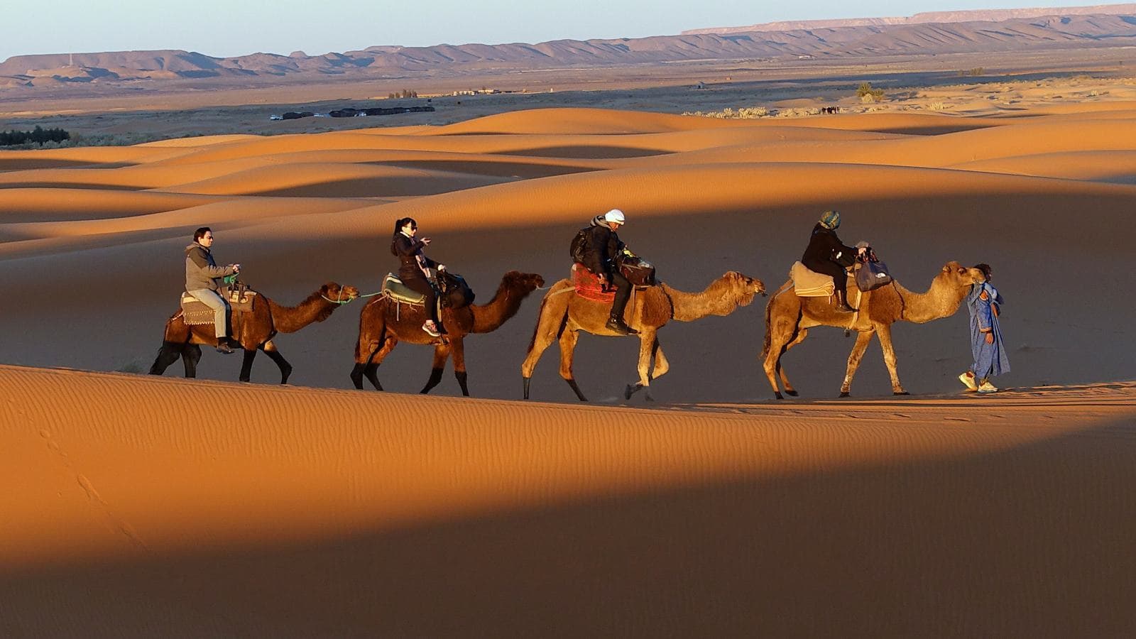 A camel caravan crossing orange sand dunes in the Moroccan Sahara at golden hour