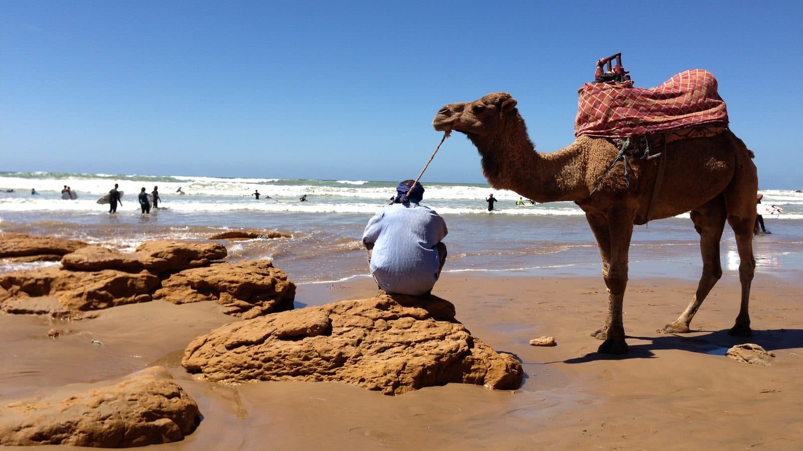 Un dromadaire et son guide sur la plage de Taghazout, avec des surfeurs dans les vagues