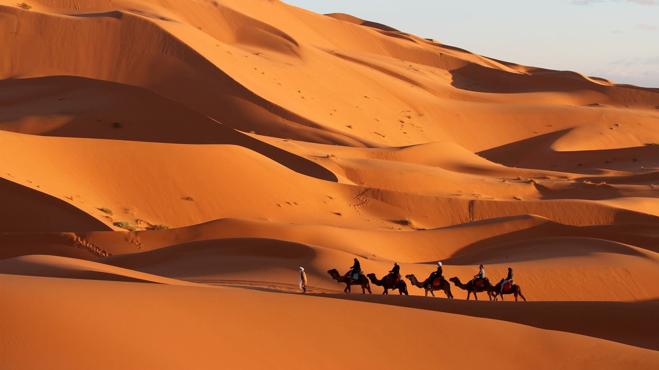 Orange sand dunes with a line of camels in Erg Chebbi near Merzouga
