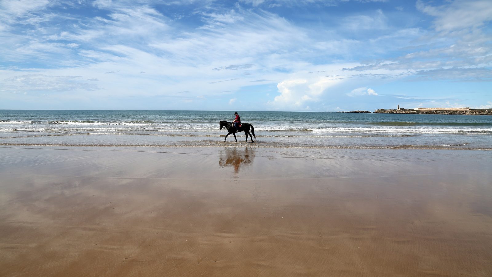 Un cavalier au pas sur le sable mouillé de la plage d'Essaouira à marée basse