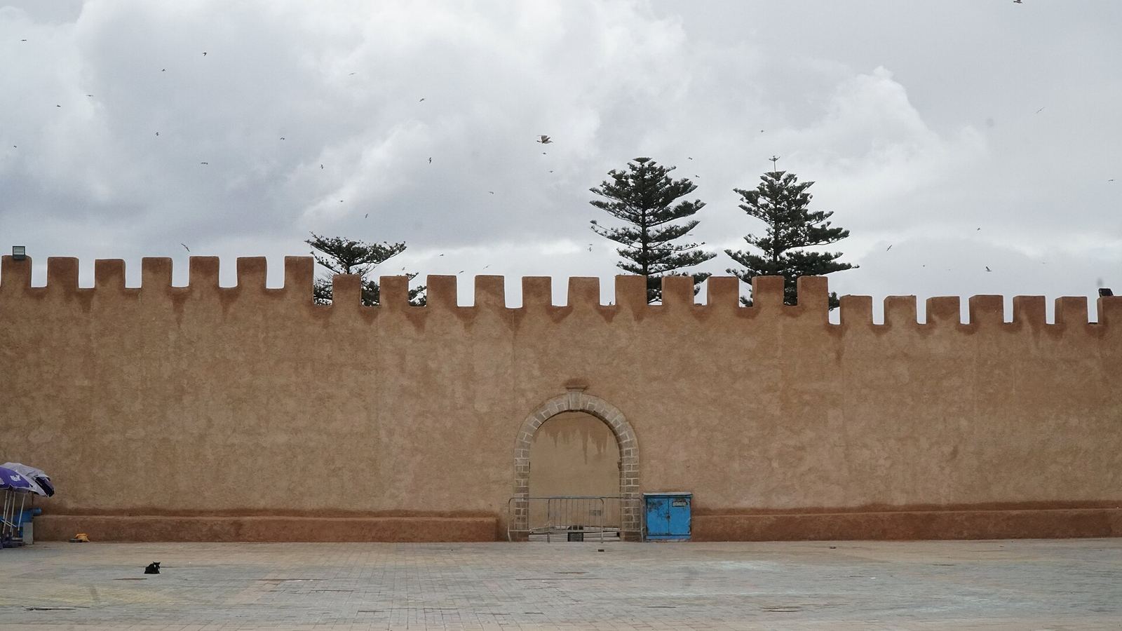 Les remparts d'Essaouira côté port