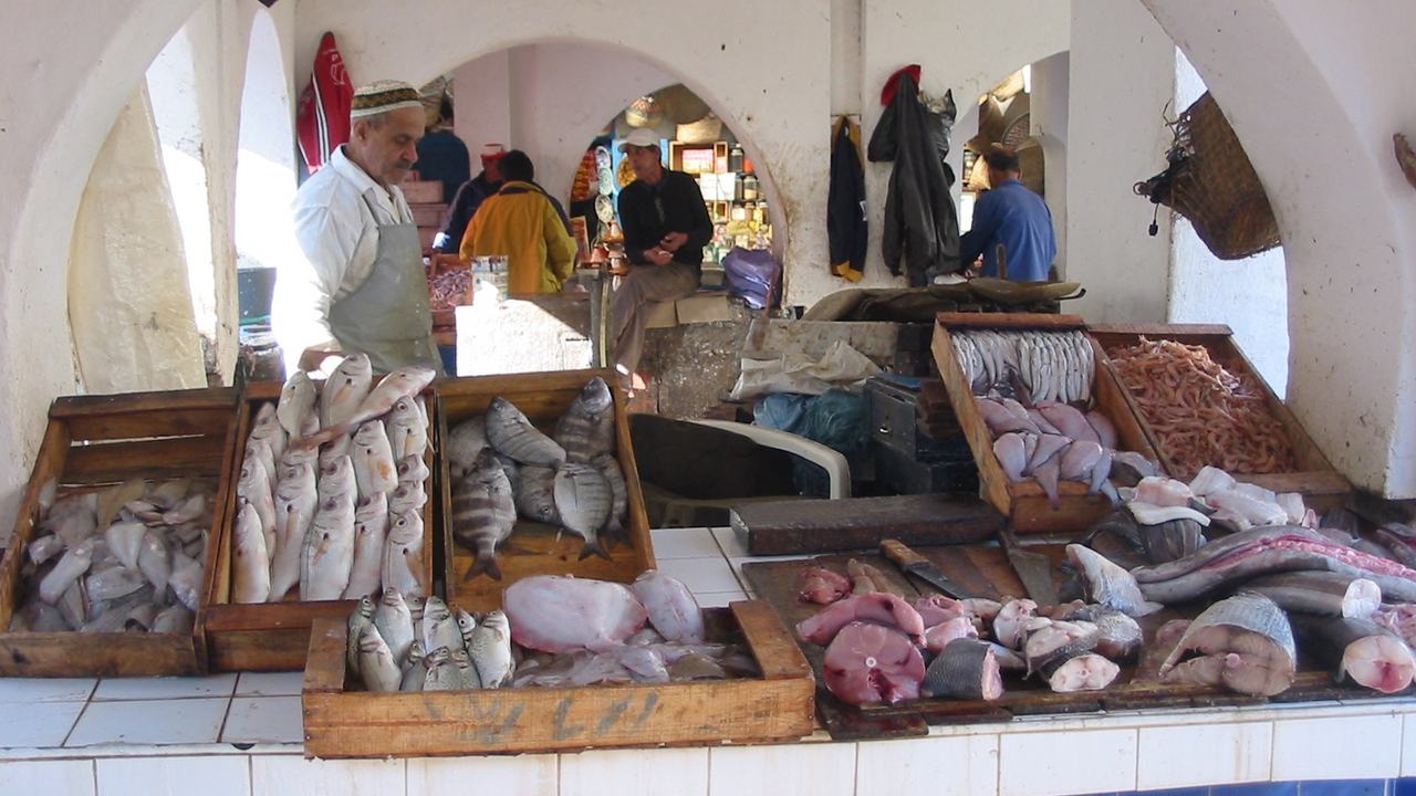 Poissons frais présentés en caisses au marché aux poissons d'Essaouira