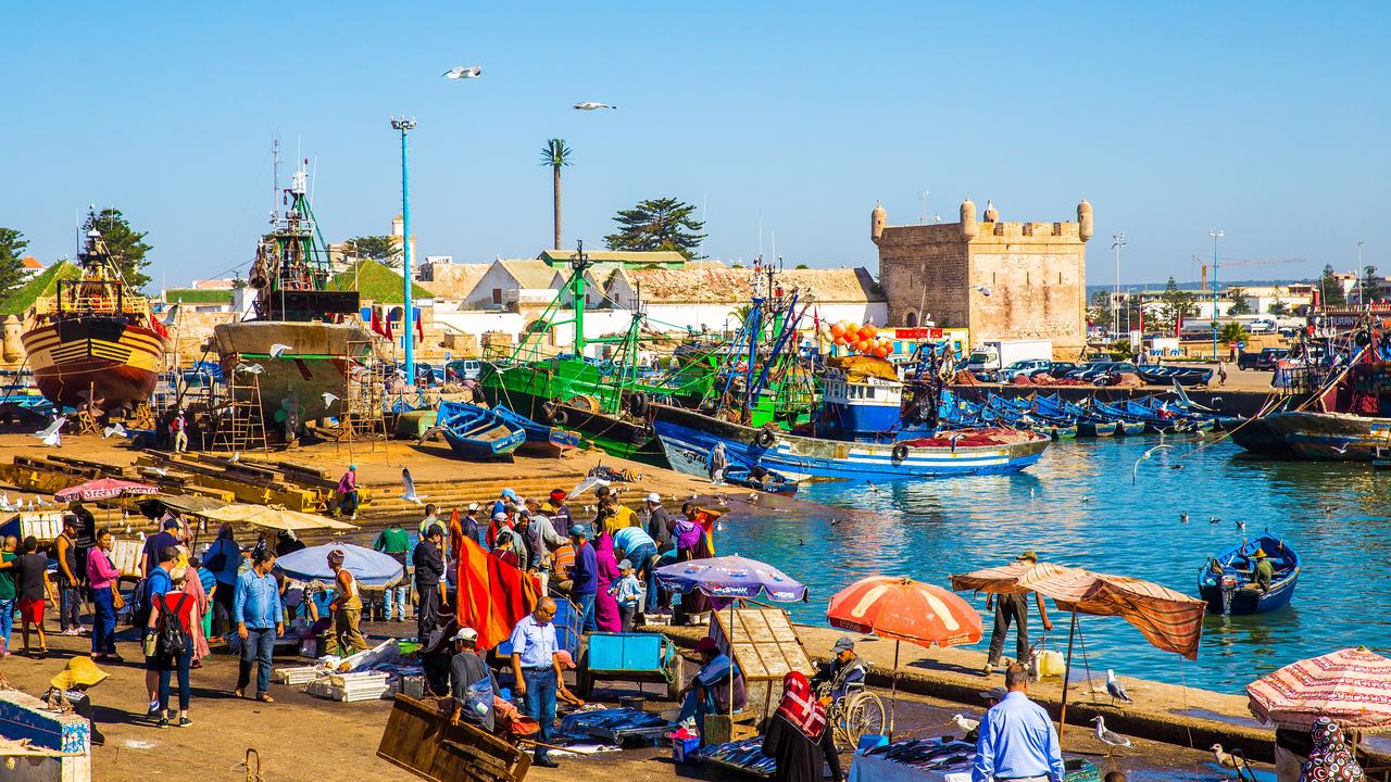 Colourful fishing boats crowding the harbour of Essaouira below the sea fort