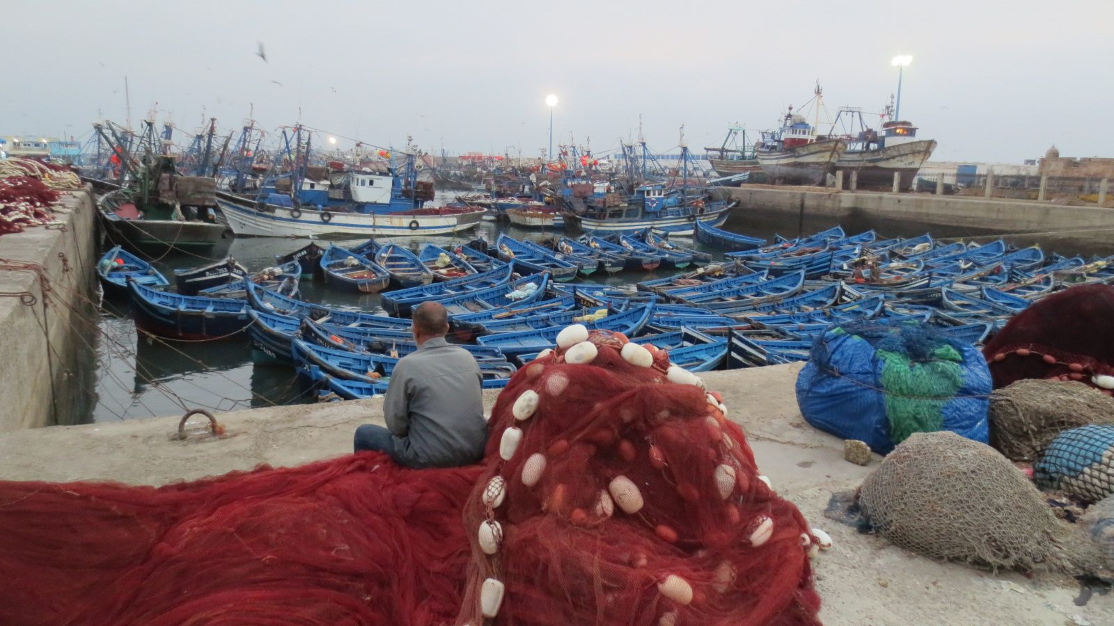 Barques de pêche bleues serrées dans le port d'Essaouira, filets rouges séchant sur le quai