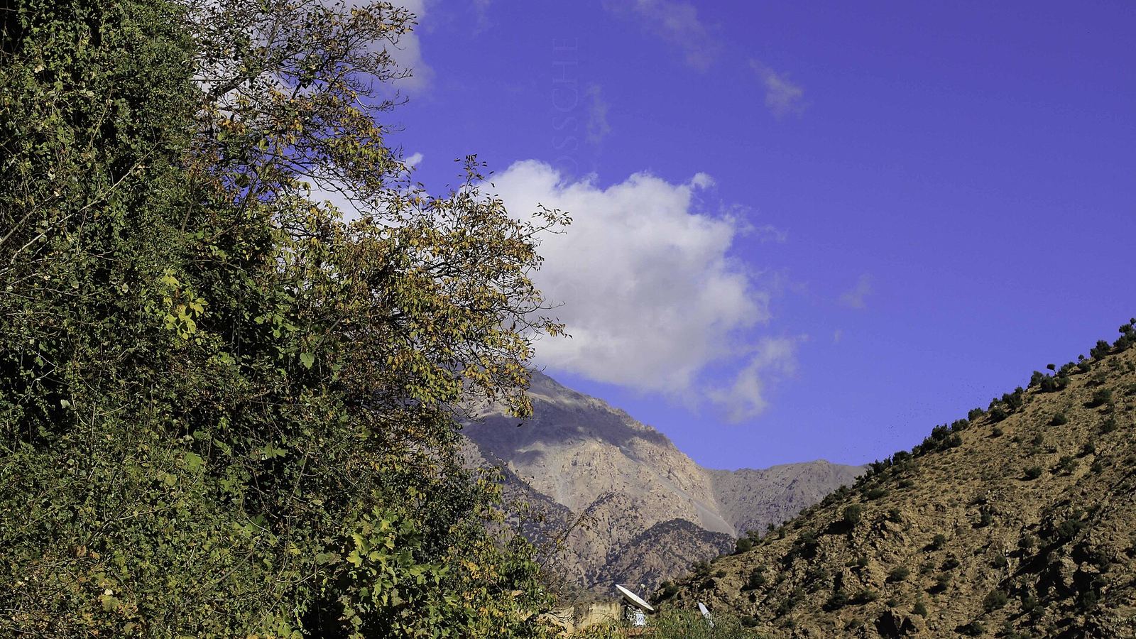 Couleurs d'automne dans la vallée de l'Ourika
