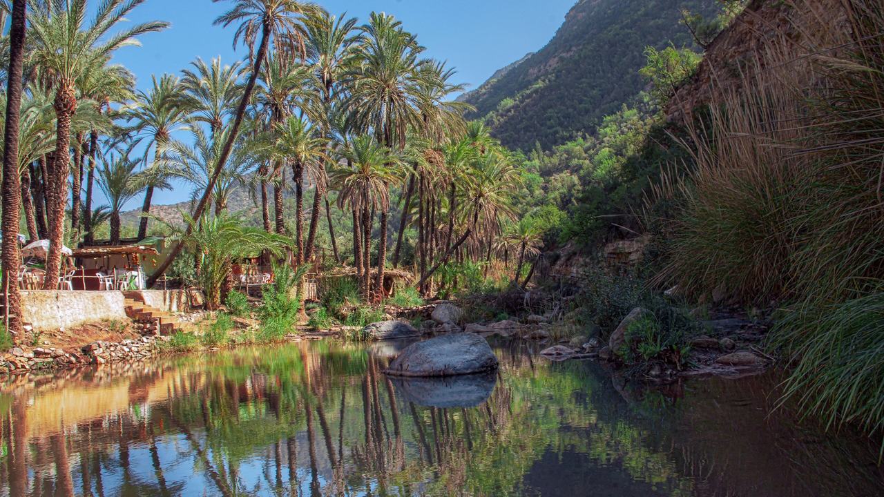 Palmiers et piscine naturelle dans la Vallée du Paradis, dans les collines derrière Agadir