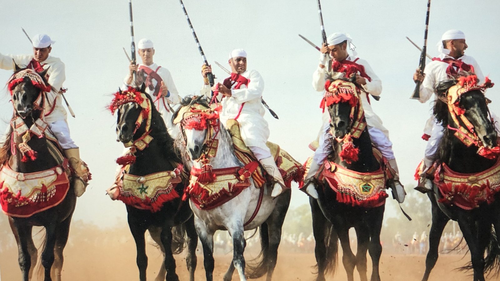 Fantasia riders in white robes and turbans lined up on decorated horses, rifles raised