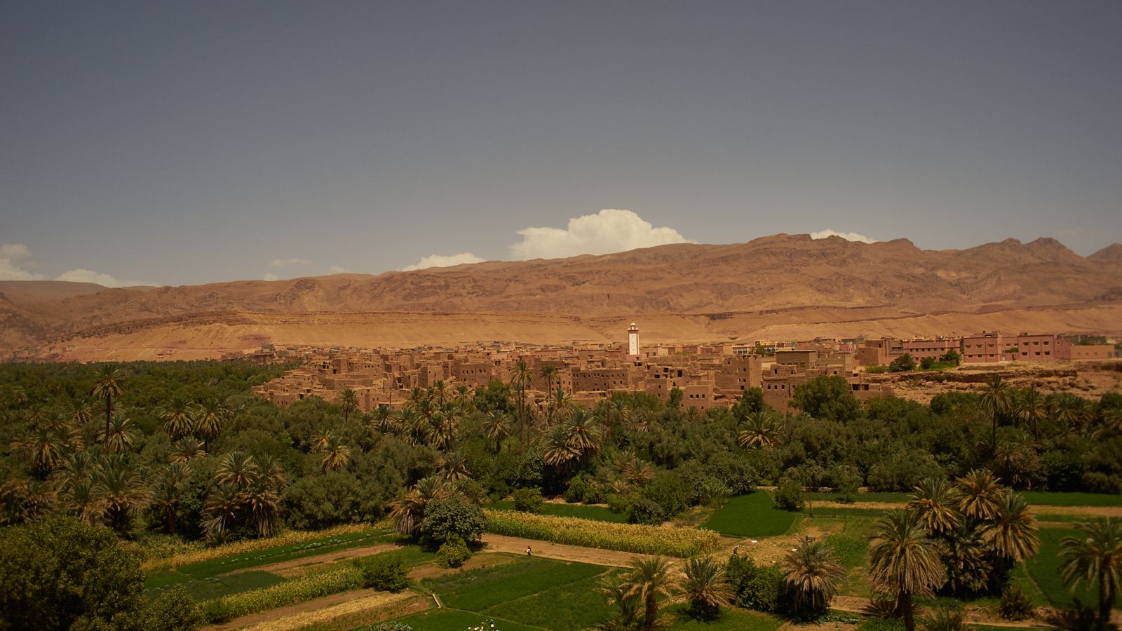 The palm grove of the Todra valley with earth villages and mountains behind