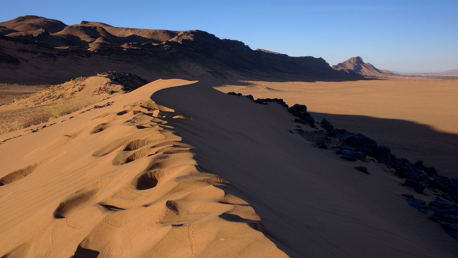 The orange crest of a sand dune near Zagora
